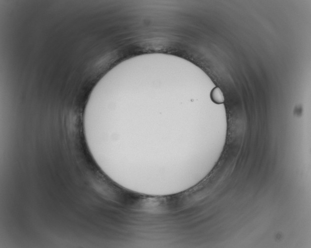 X0000116790126201001081321