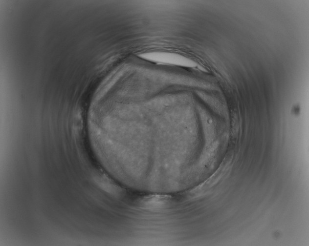 X0000116790128201001081321