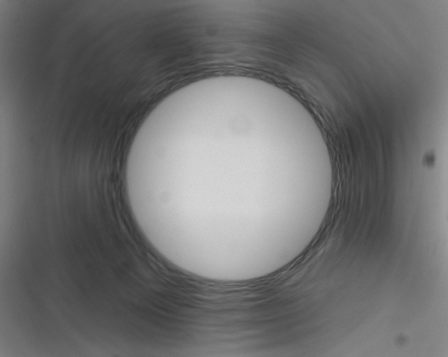 X0000116790129201001081321