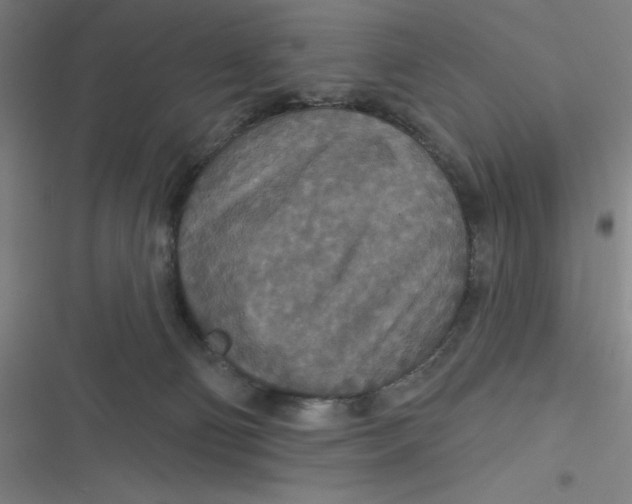 X0000116790130201001081321