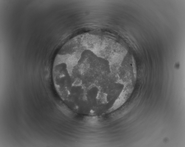 X0000116790131201001081321