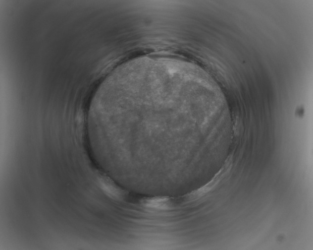 X0000116790132201001081321