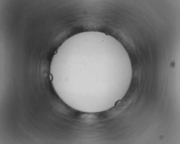 X0000116790133201001081321