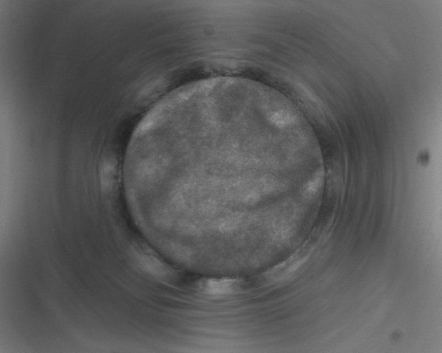 X0000116790134201001081321