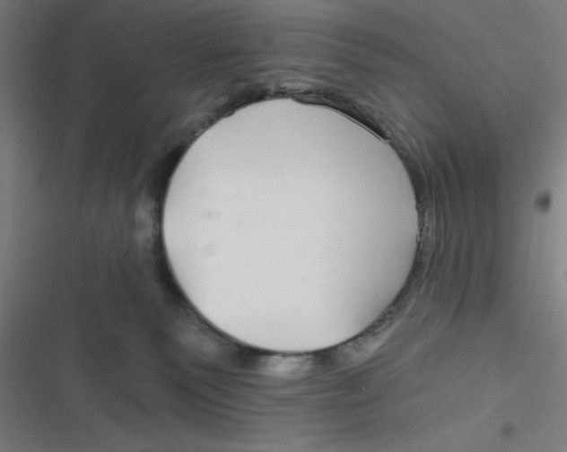 X0000116790135201001081321