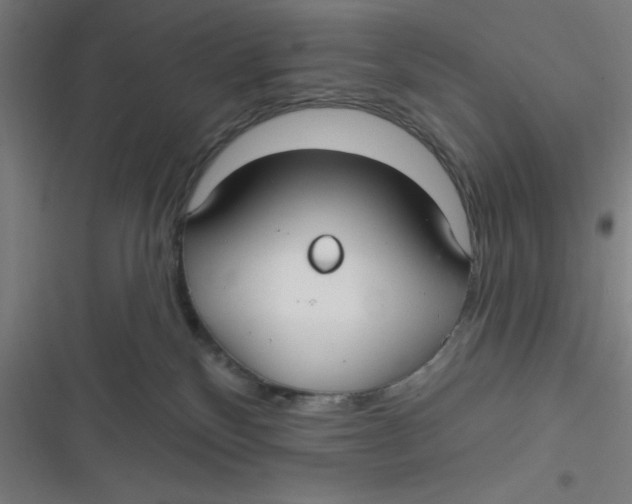 X0000116790136201001081321