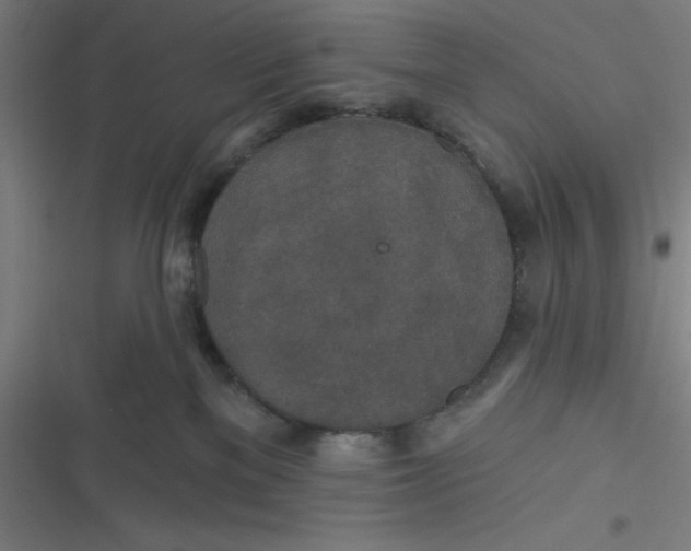 X0000116790137201001081321