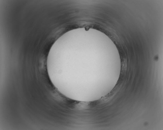 X0000116790138201001081321