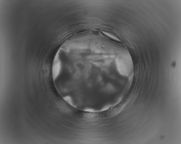 X0000116790139201001081321