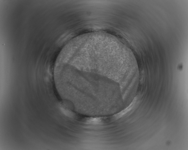 X0000116790140201001081321