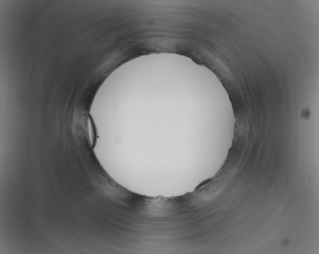 X0000116790141201001081321