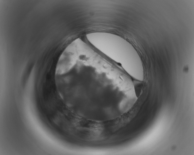 X0000116790143201001081321