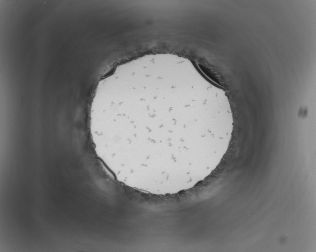 X0000116790144201001081321