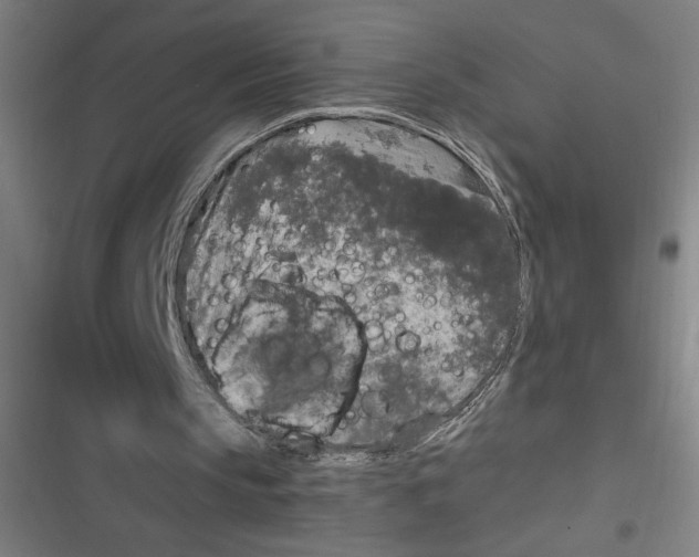 X0000116790145201001081320