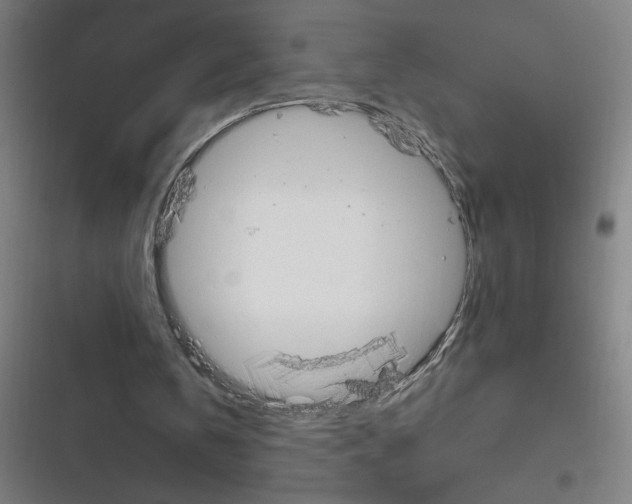 X0000116790146201001081320