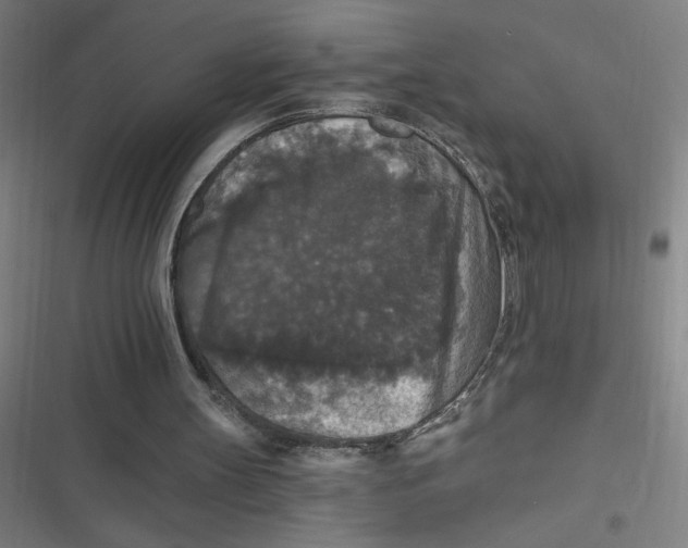 X0000116790147201001081320