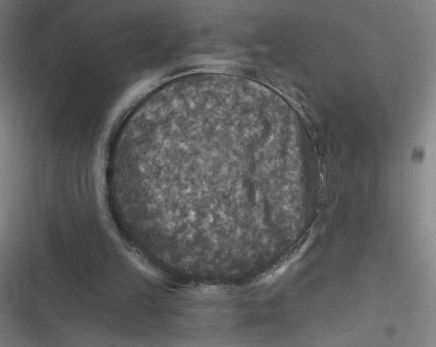 X0000116790149201001081321