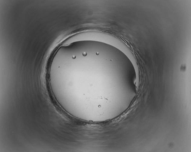 X0000116790150201001081321