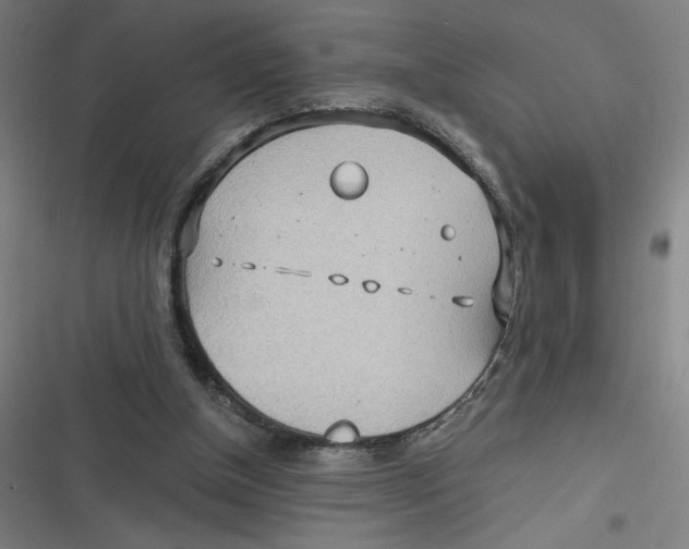 X0000116790154201001081321