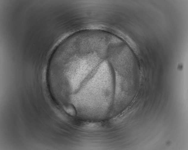 X0000116790155201001081321