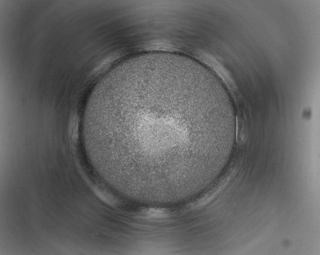 X0000116790157201001081321