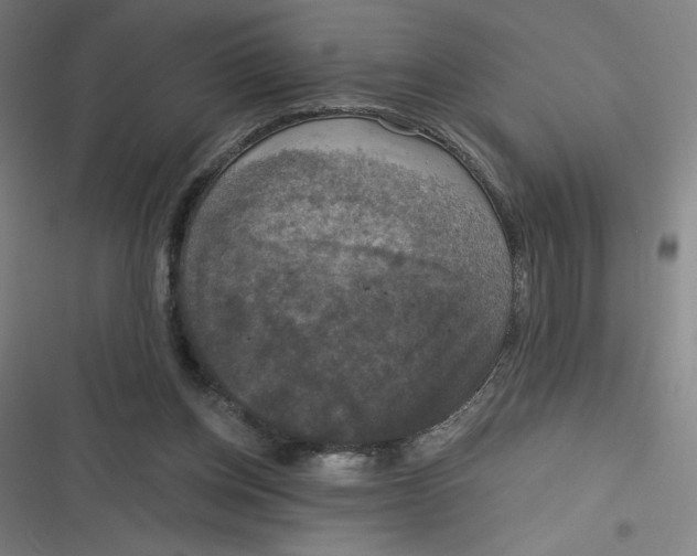 X0000116790158201001081321