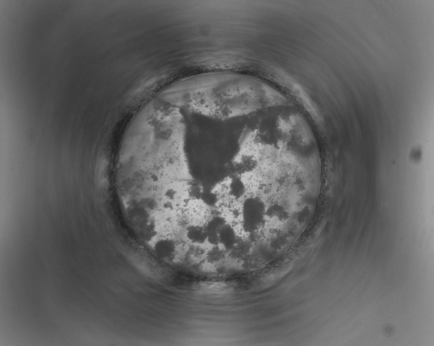 X0000116790161201001081321