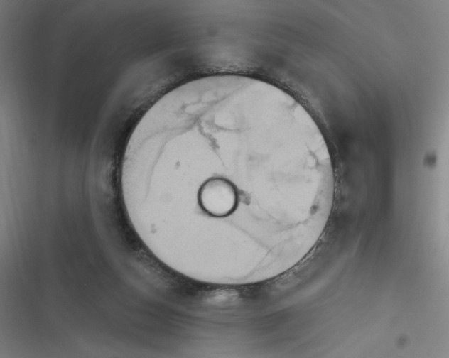 X0000116790162201001081321