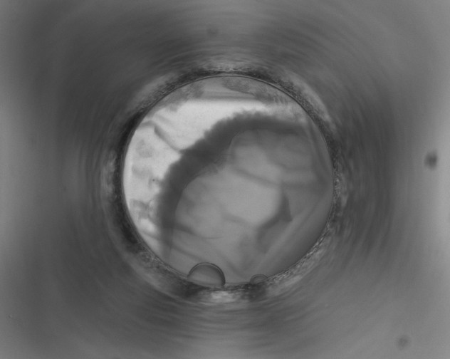 X0000116790163201001081321