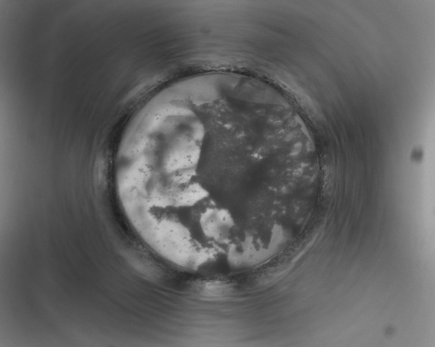 X0000116790165201001081321