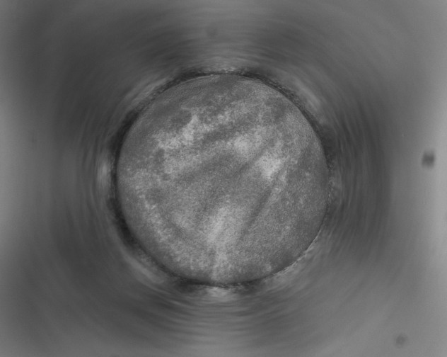 X0000116790166201001081321