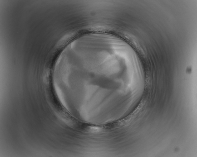 X0000116790167201001081321