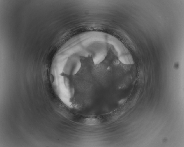 X0000116790169201001081321