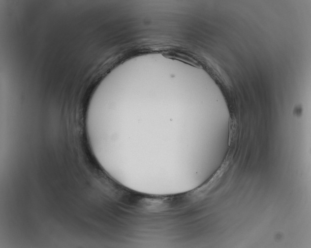 X0000116790170201001081321