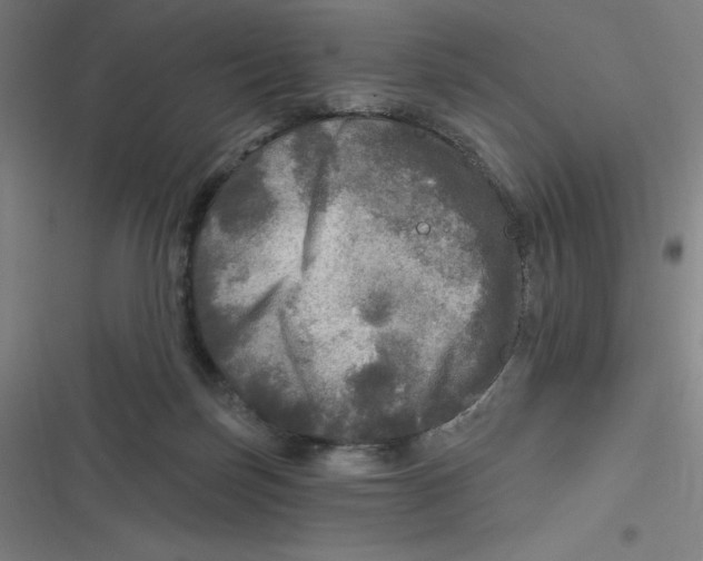 X0000116790171201001081321