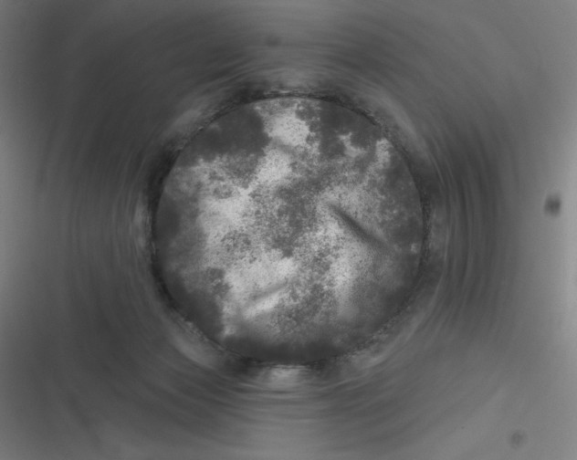 X0000116790173201001081321