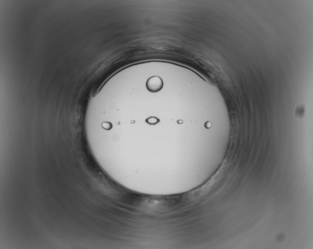 X0000116790174201001081321