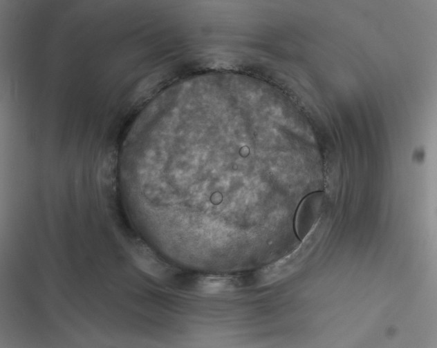 X0000116790175201001081321