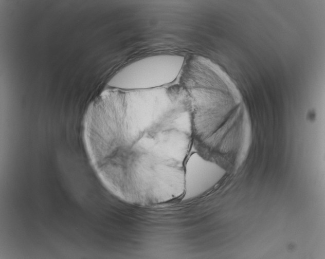 X0000116790177201001081321