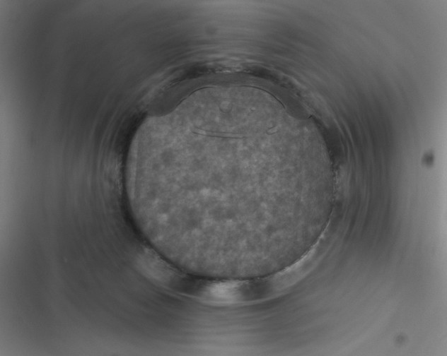 X0000116790178201001081321