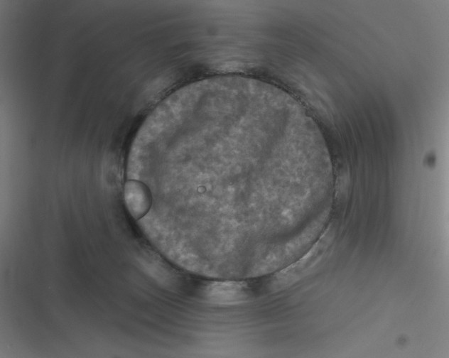 X0000116790179201001081321