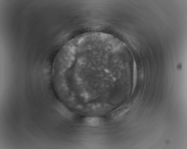 X0000116790181201001081321