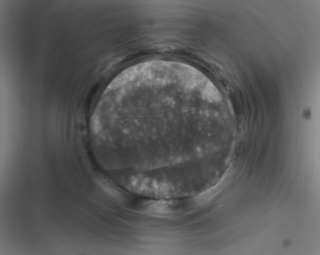 X0000116790182201001081321