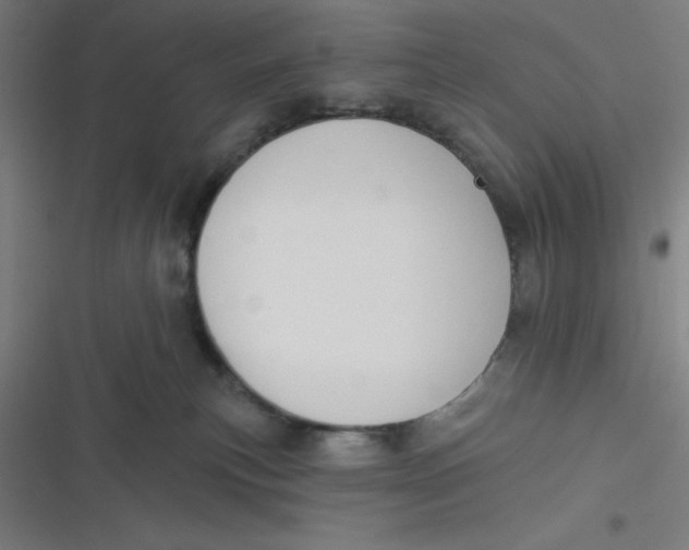 X0000116790183201001081321