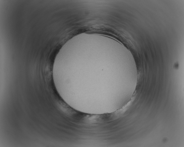 X0000116790186201001081321