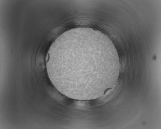 X0000116790187201001081321