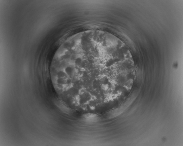 X0000116790189201001081321