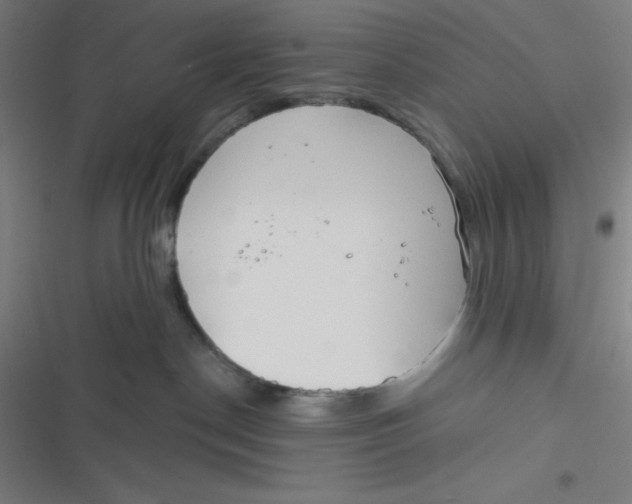 X0000116790190201001081321