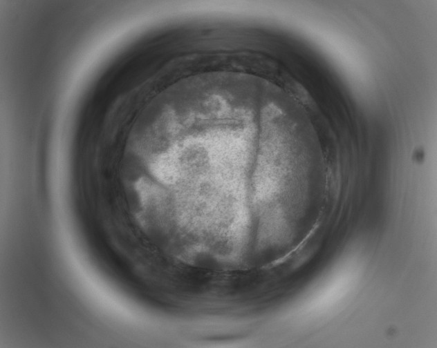 X0000116790191201001081321