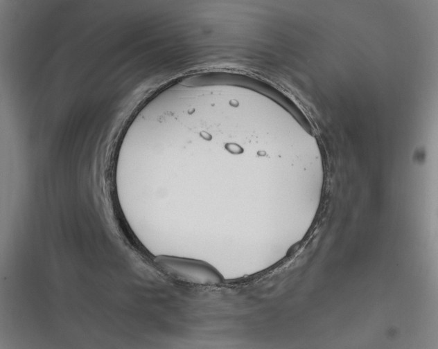 X0000116790193201001081320